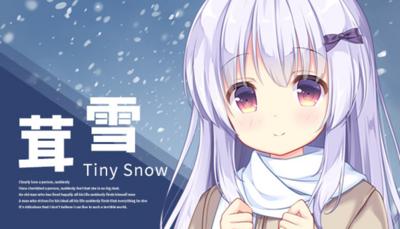 Tiny Snow