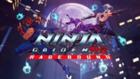 NINJA GAIDEN: Ragebound