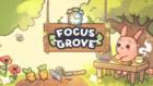 Focus Grove